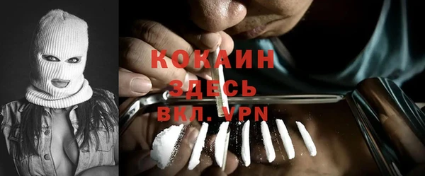 индика Аркадак