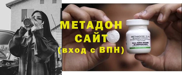 индика Аркадак