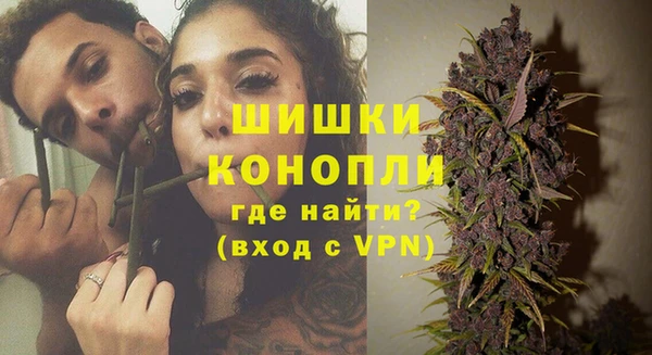 индика Аркадак